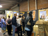 The CFA Intertional Cat Show